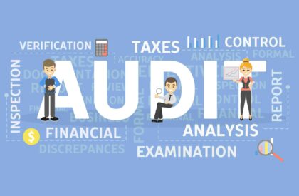 Bankruptcy Case Audited